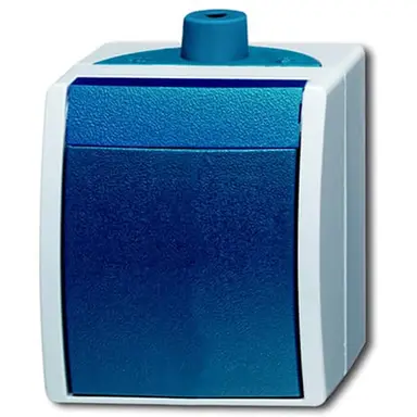 Busch-Jaeger 2601/6 W/TT-53 2-polige schakelaar opbouw Ocean IP44 grijs/blauw