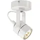 SLV 132021 Spot/schijnwerper 1x50w Haloge