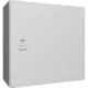 Rittal 1380000 ax kast 380x380x210 1d 1mpl ra