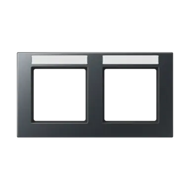 JUNG A 55820 BF NA ANM afdekraam 2-voudig horizontaal met tekstvenster A550 antraciet mat