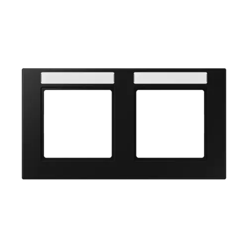 JUNG A 55820 BF NA SWM afdekraam 2-voudig horizontaal met tekstvenster A550 grafietzwart mat