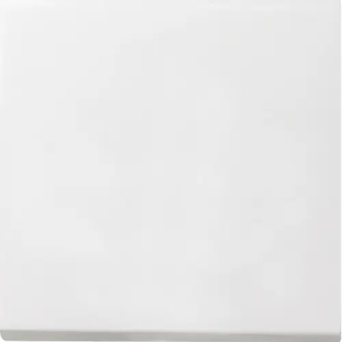 Gira 0296112 schakelwip F100 wit glans oud model