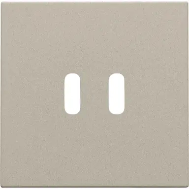 Niko 157-68003 afwerkingsset voor dubbele smart USB-C lader champagne coated