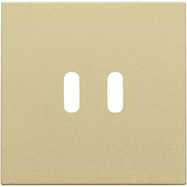 Niko 221-68003 afwerkingsset voor dubbele smart USB-C lader gold coated