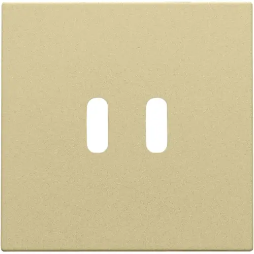 Niko 221-68003 afwerkingsset voor dubbele smart USB-C lader gold coated