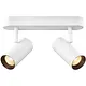 SLV 1008716 noblo cw double wand- en plafondopbouwarmatuur LED 12W 2700K dimbaar wit