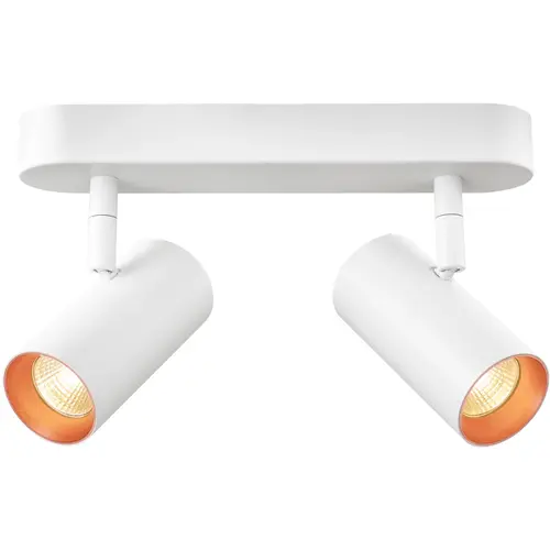 SLV 1008716 noblo cw double wand- en plafondopbouwarmatuur LED 12W 2700K dimbaar wit