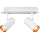SLV 1008716 noblo cw double wand- en plafondopbouwarmatuur LED 12W 2700K dimbaar wit