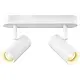 SLV 1008704 NOBLO double wand- en plafondopbouwspots15W rond 2000-3000K dim to warm wit IP20