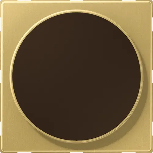 JUNG ME WC MAG C centraalplaat voor draadloos opladen LS990 messing klassiek