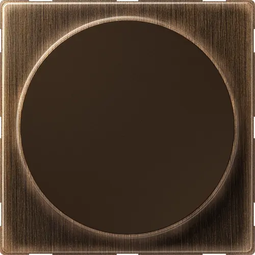 JUNG ME WC MAG AT centraalplaat voor draadloos opladen LS990 messing antiek