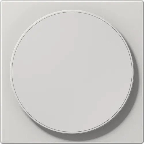 JUNG LS WC MAG LG centraalplaat voor draadloos opladen LS990 lichtgrijs