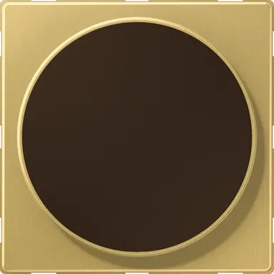 JUNG ME WC MAG C centraalplaat voor draadloos opladen LS990 messing klassiek