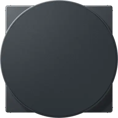 JUNG A WC MAG ANM centraalplaat voor draadloos opladen A-range antraciet mat