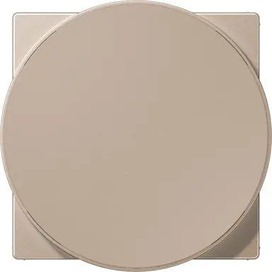 JUNG A WC MAG CH centraalplaat voor draadloos opladen A-range champagne