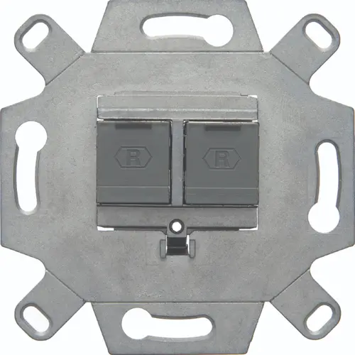 Hager Berker WDF410861 data wandcontactdoos CAT6A 2-voudig rechte uitgang