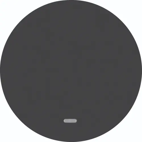 Hager Berker WLW1331BG schakelwip controlevenster R1/R3 zwart