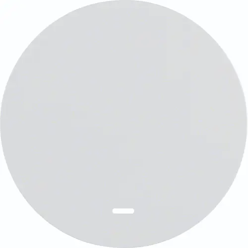 Hager Berker WLW1331WG schakelwip controlevenster R1/R3/R8 wit