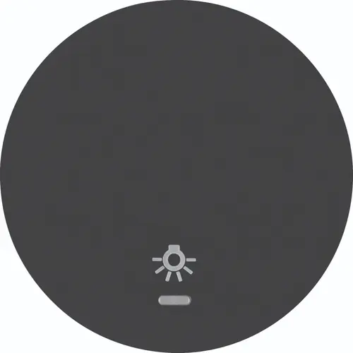 Hager Berker WLW1332BG schakelwip controlevenster symbool licht R1/R3 zwart