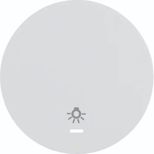 Hager Berker WLW1332WG schakelwip controlevenster symbool licht R1/R3/R8 wit