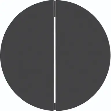 Hager Berker WLW2010BG schakelwip 2-voudig R1/R3 zwart