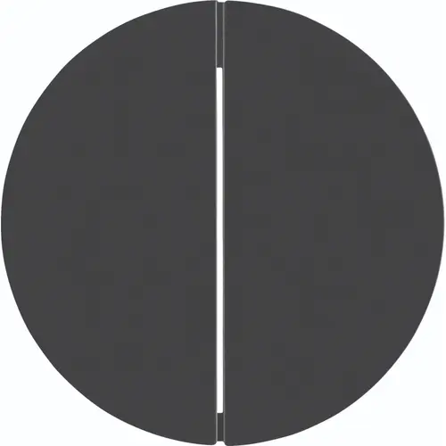 Hager Berker WLW2010BG schakelwip 2-voudig R1/R3 zwart