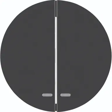 Hager Berker WLW2300BG schakelwip 2-voudig controlevenster R1/R3 zwart