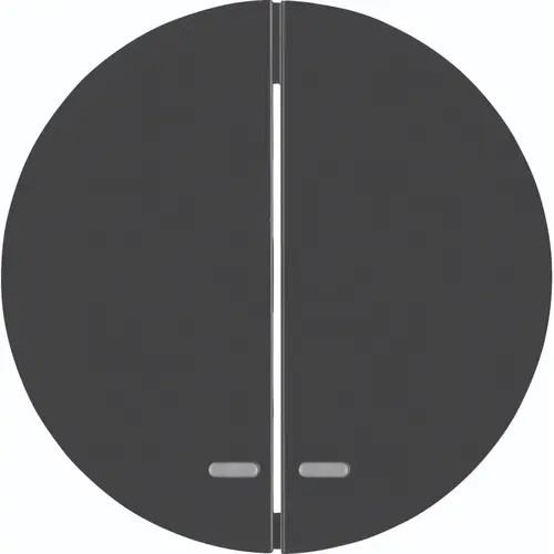 Hager Berker WLW2300BG schakelwip 2-voudig controlevenster R1/R3 zwart