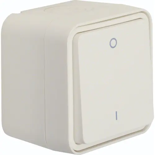 Hager Berker WNC008B W1 schakelaar 2-polig compleet wit