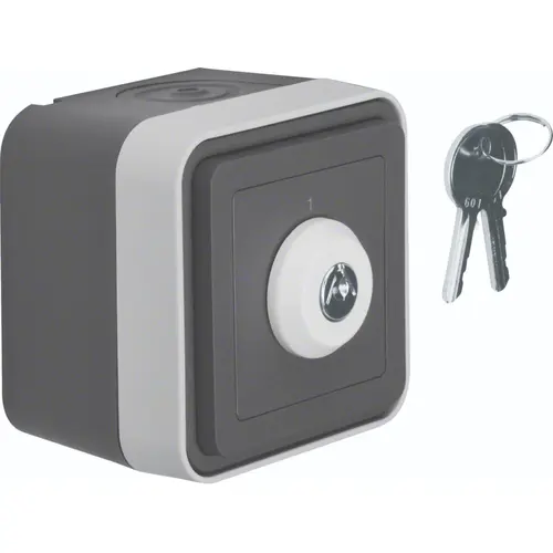 Hager Berker WNC035 sleutel-schak +behuizing w1 gr