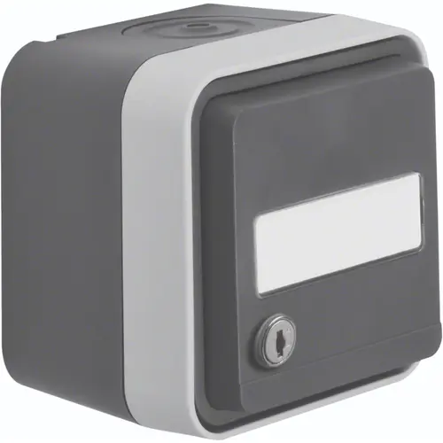 Hager Berker WNC166 W1 wandcontactdoos met randaarde, tekstveld en sleutelsluiting gelijksluitend compleet grijs