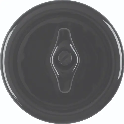 Hager Berker WTW1000PBG draai-schakelwip met centraalplaat 1930 zwart porselein