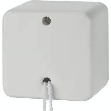 Hager Berker WVG4600PW opbouw uit/wissel trekschakelaar 10A wit