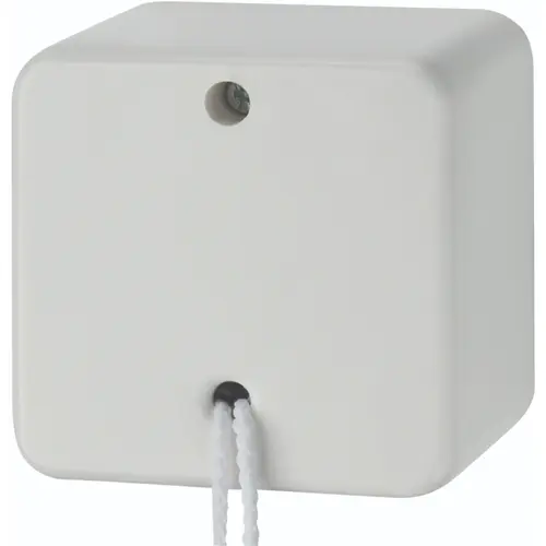 Hager Berker WVG4600PW opbouw uit/wissel trekschakelaar 10A wit