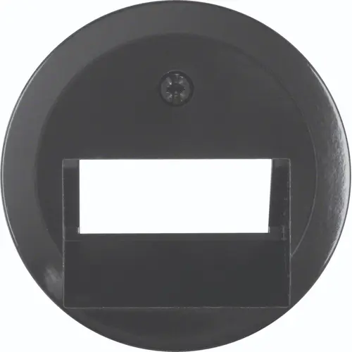 Hager Berker WTF4108BG centraalplaat RJ45 wandcontactdoos 2-voudig 1930 zwart kunststof