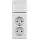 Hager Berker WVG5221PW opbouw wisselschakelaar met wandcontactdoos 2-voudig randaarde wit