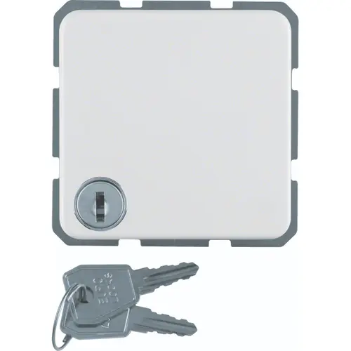 Hager Berker WWS1115PW wandcontactdoos randaarde klapdeksel sleutelsluiting IP44 wit glans