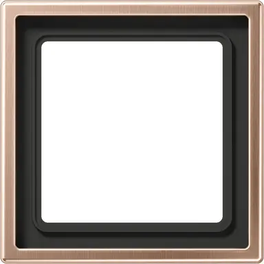 JUNG BRG 2981 afdekraam 1-voudig LS990 geborsteld brons