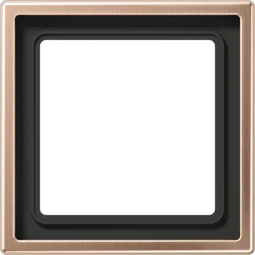 JUNG BRG 2981 afdekraam 1-voudig LS990 geborsteld brons