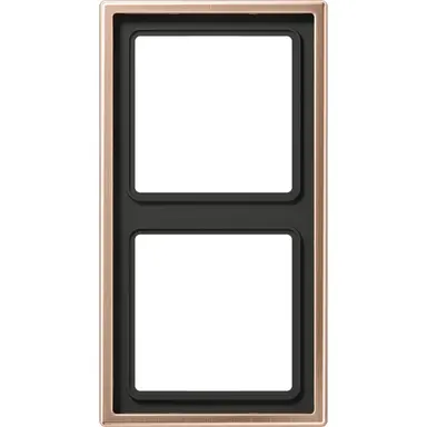 JUNG BRG 2982 afdekraam 2-voudig LS990 geborsteld brons