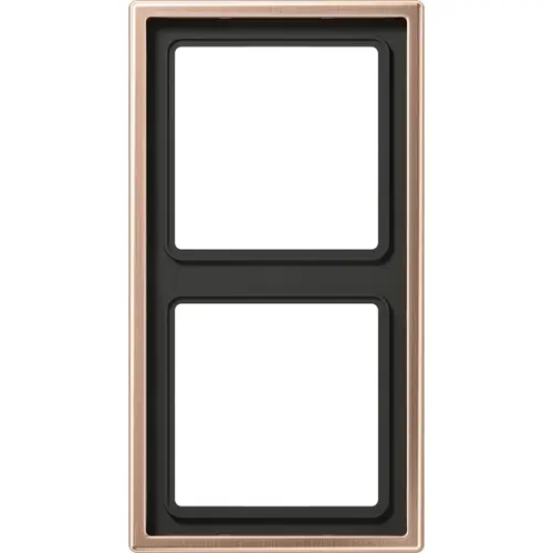 JUNG BRG 2982 afdekraam 2-voudig LS990 geborsteld brons