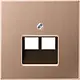 JUNG BRG 2969-2 UA centraalplaat 2-voudig tbv RJ45 wandcontactdoos LS990 geborsteld brons