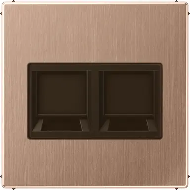 JUNG BRG 1969-2 WE centraalplaat met draagring 2-voudig voor modulair jack LS990 geborsteld brons