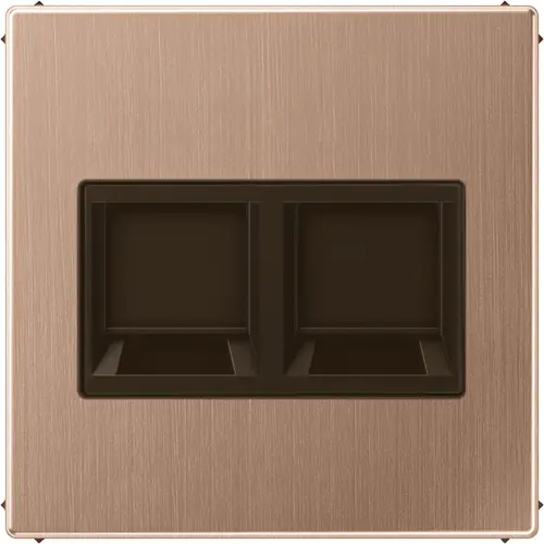 JUNG BRG 1969-2 WE centraalplaat met draagring 2-voudig voor modulair jack LS990 geborsteld brons