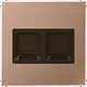 JUNG BRG 1969-2 WE centraalplaat met draagring 2-voudig voor modulair jack LS990 geborsteld brons