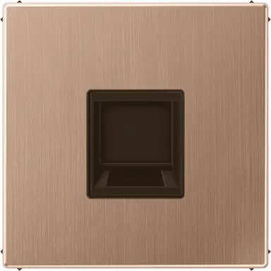 JUNG BRG 1969-1 WE centraalplaat met draagring 1-voudig voor modulair jack LS990 geborsteld brons