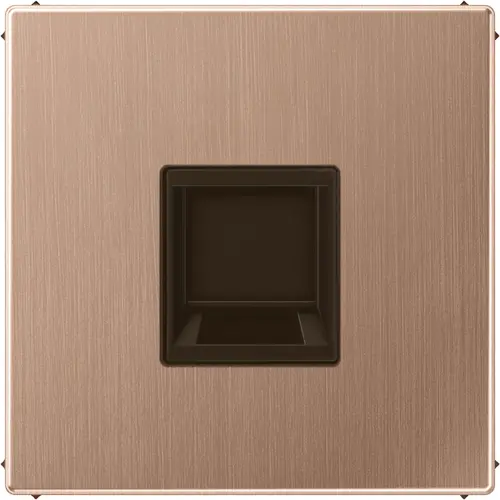 JUNG BRG 1969-1 WE centraalplaat met draagring 1-voudig voor modulair jack LS990 geborsteld brons