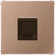 JUNG BRG 1969-1 WE centraalplaat met draagring 1-voudig voor modulair jack LS990 geborsteld brons