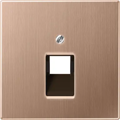 JUNG BRG 2969-1 UA centraalplaat 1-voudig tbv RJ45 wandcontactdoos LS990 geborsteld brons