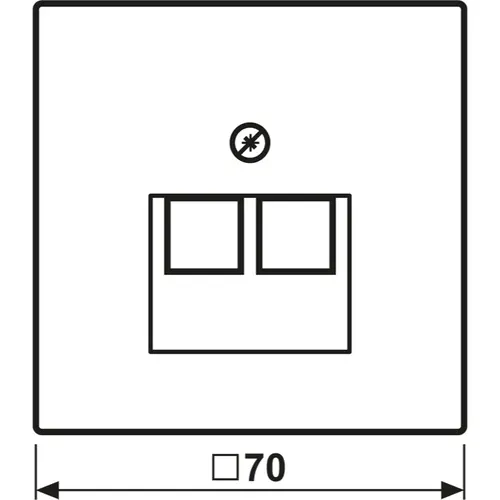 JUNG BRG 2969-2 UA centraalplaat 2-voudig tbv RJ45 wandcontactdoos LS990 geborsteld brons